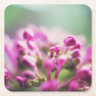 Pink vintage macro bokeh flower square paper coaster