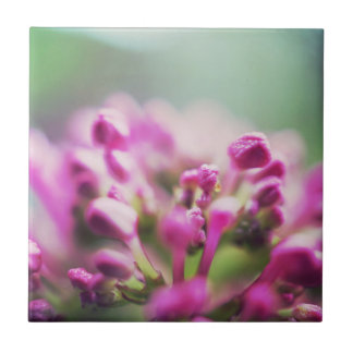 Pink vintage macro bokeh flower tile