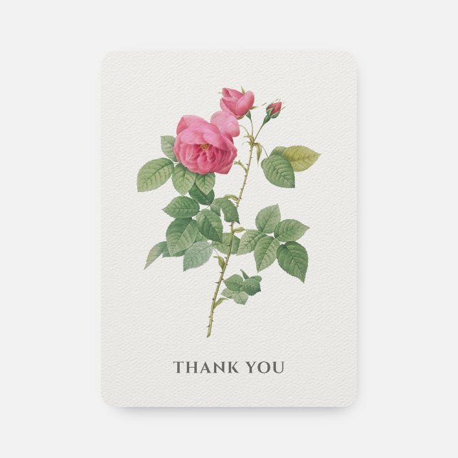 Pink Vintage Rose Botanical Thank You Card (Creator Uploaded)