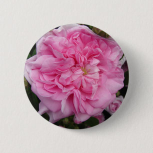 Pink Vintage Rose floral Flowers 6 Cm Round Badge