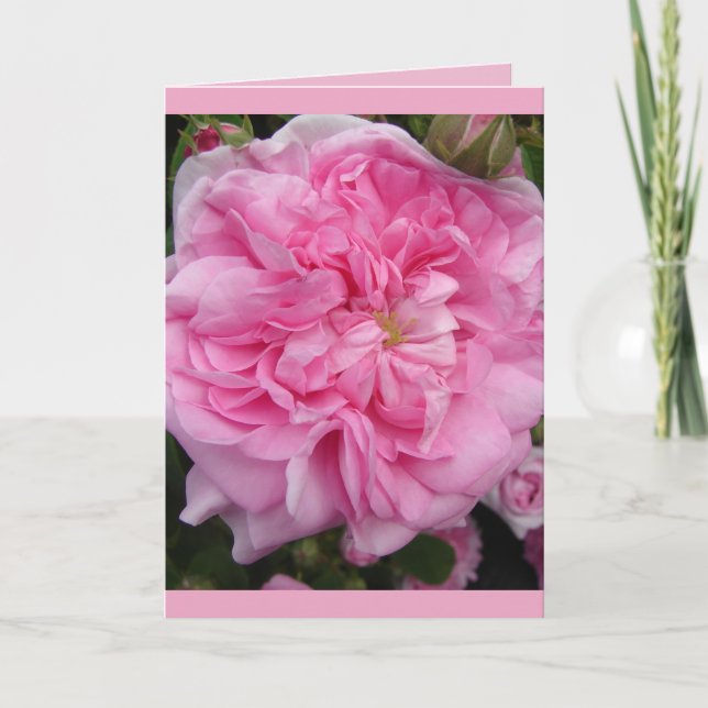 Pink Vintage Rose floral Flowers Birthday Card (Front)