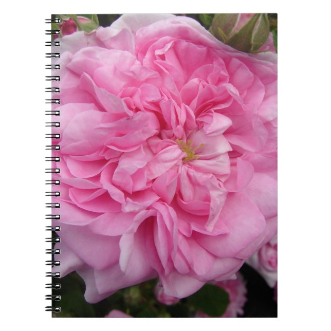 Pink Vintage Rose floral Flowers Notebook (Front)