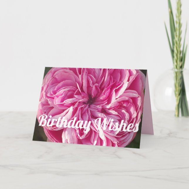 Pink Vintage Rose Roses Flowers Birthday Card (Front)