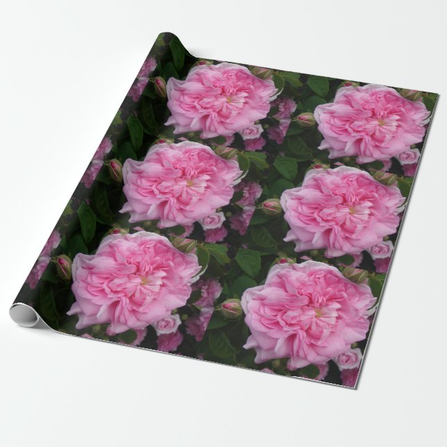 Pink Vintage Roses flowers floral Wrapping Paper (Unrolled)