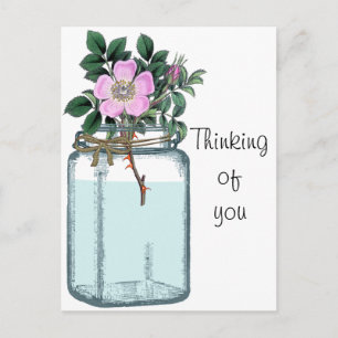 Pink Vintage Wild Rose in Mason Jar Postcard