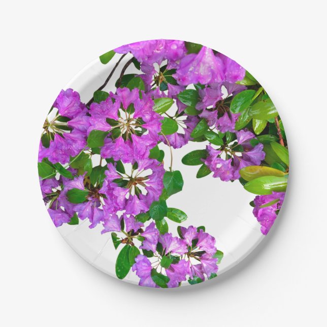 Pink violet azalea's paper plate (Front)