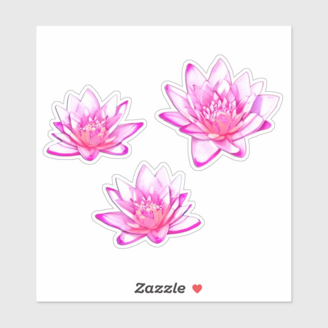 Pink Water Lilies  (Sheet)
