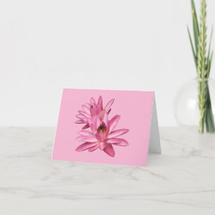 Pink  Water Lilies Blank Note Greeting Cards