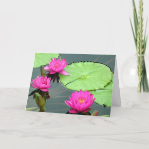Pink Water Lilies Card