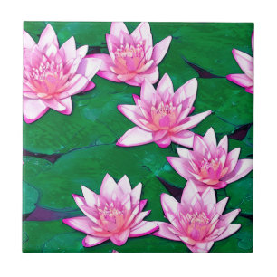 Pink Water Lilies on a Pond Tile