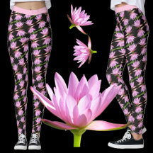 Pink Water Lilies w/Black and Green - Floral