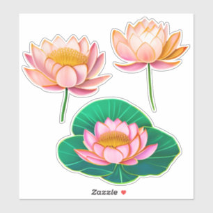 Pink Water Lillies / Lotus Flowers