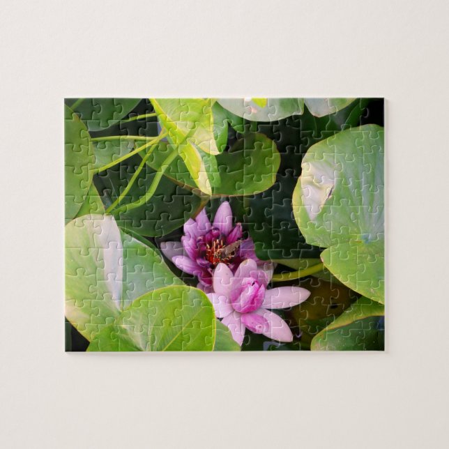 Pink Water Lilly , Lotus Flower  Jigsaw Puzzle (Horizontal)