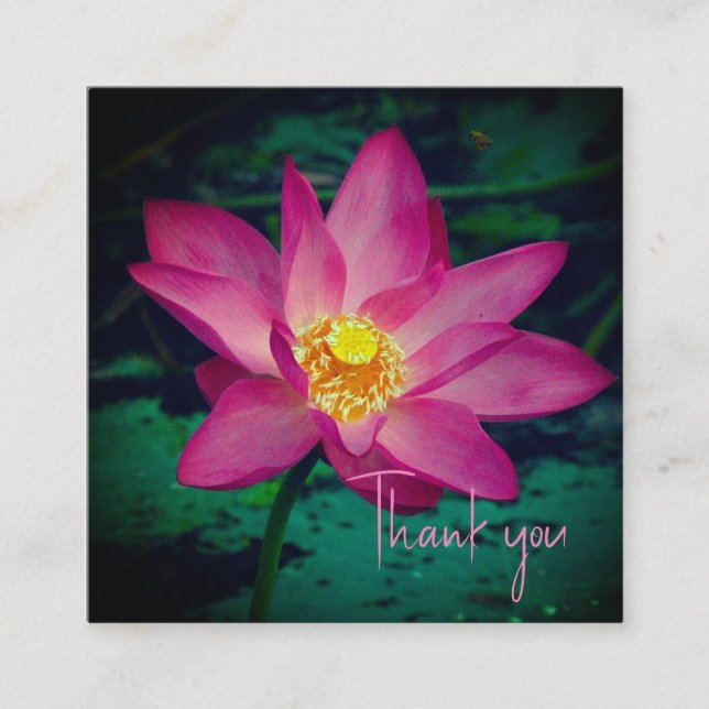 Pink Water Lilly Thank You Card (Front)