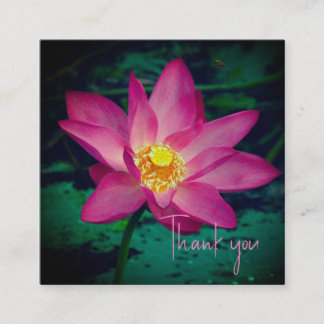 Pink Water Lilly Thank You Card