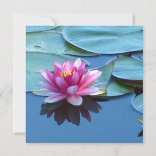 Pink Water Lily Card