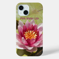 Pink Water Lily