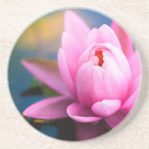 Pink Water Lily Coaster