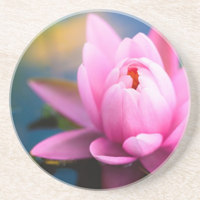 Pink Water Lily Coaster (Front)