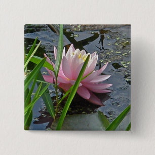 Pink Water Lily Coordinating Items 15 Cm Square Badge