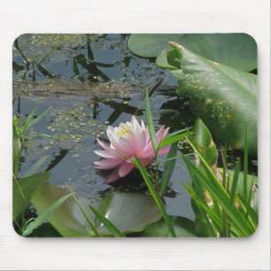 Pink Water Lily Coordinating Items Mouse Mat
