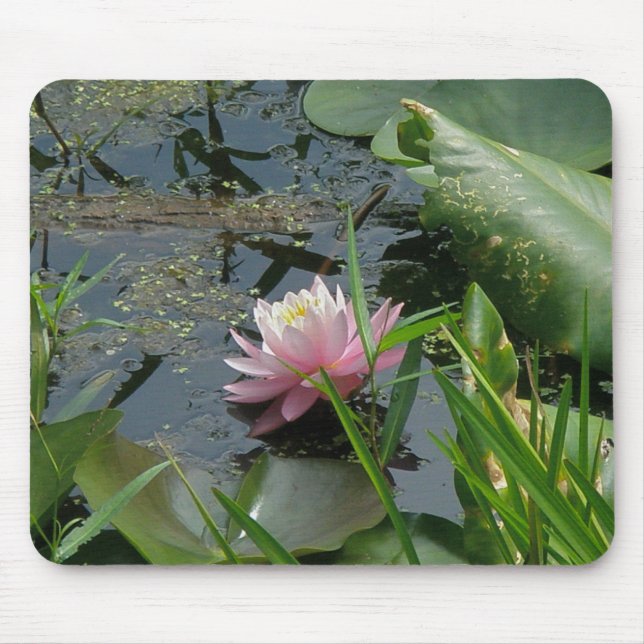 Pink Water Lily Coordinating Items Mouse Mat (Front)