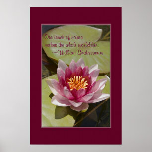 Pink Water Lily Flower Close-up Photo Custom Poster