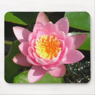 Pink Water Lily Mouse Mat