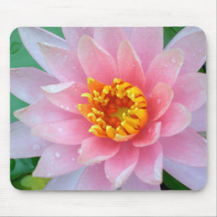 Pink Water Lily Mousepad