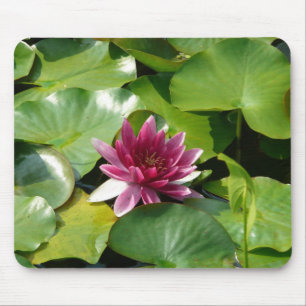 Pink water lily mousepad
