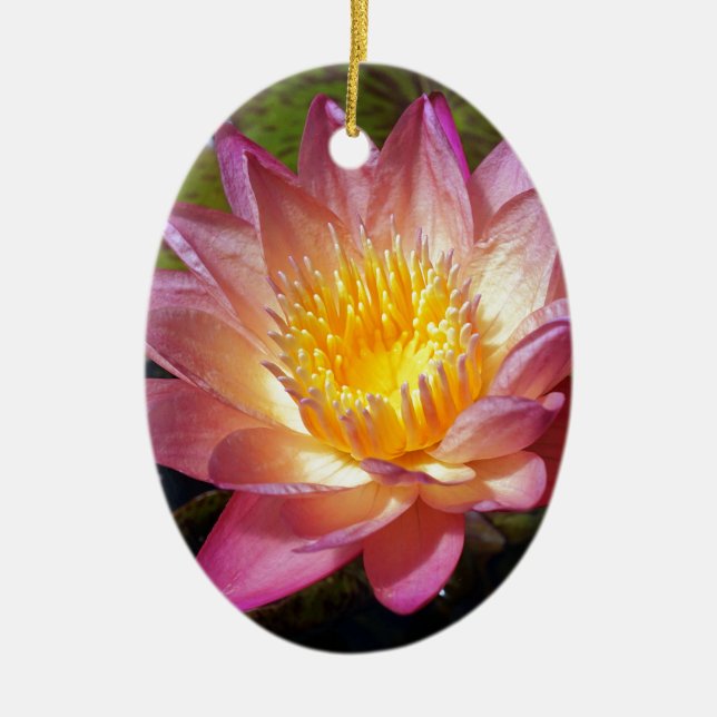 Pink Water Lily Photograph Ceramic Tree Decoration (Front)