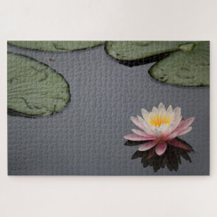 Pink Water Lily Photograph  Jigsaw Puzzle