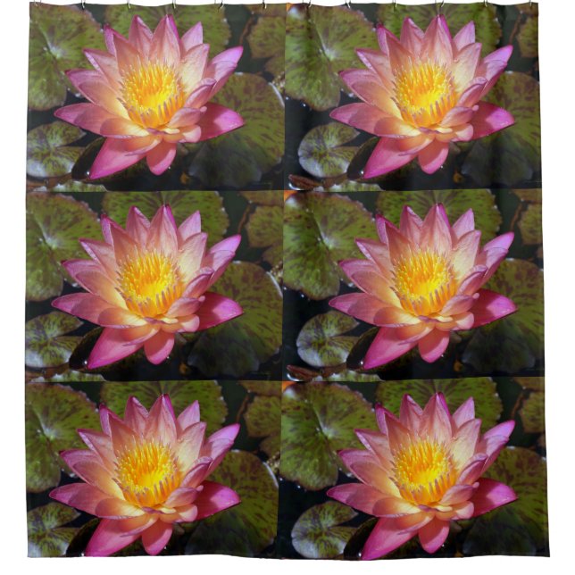 Pink Water Lily Photograph Shower Curtain (Front)