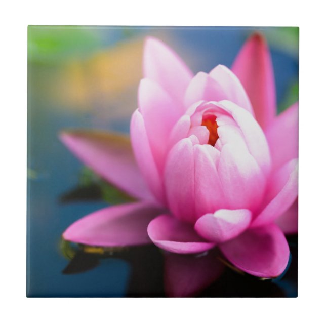 Pink Water Lily Tile (Front)