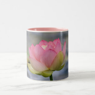 Pink Water Lily Two-Tone Coffee Mug