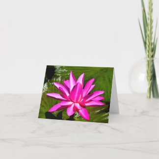 Pink Water Lily Waterlily Note Card