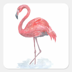 Pink watercolor Flamingo . Square Sticker
