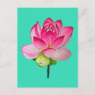 Pink watercolor lotus flower fine art postcard