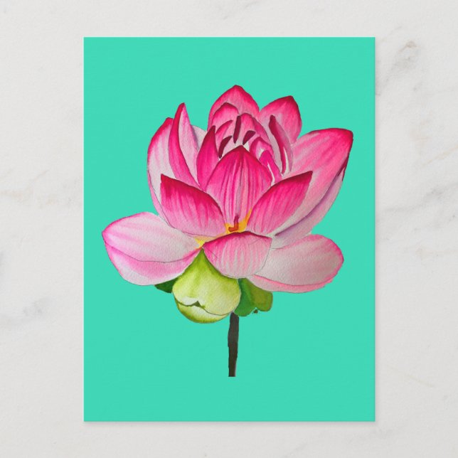 Pink watercolor lotus flower fine art postcard (Front)