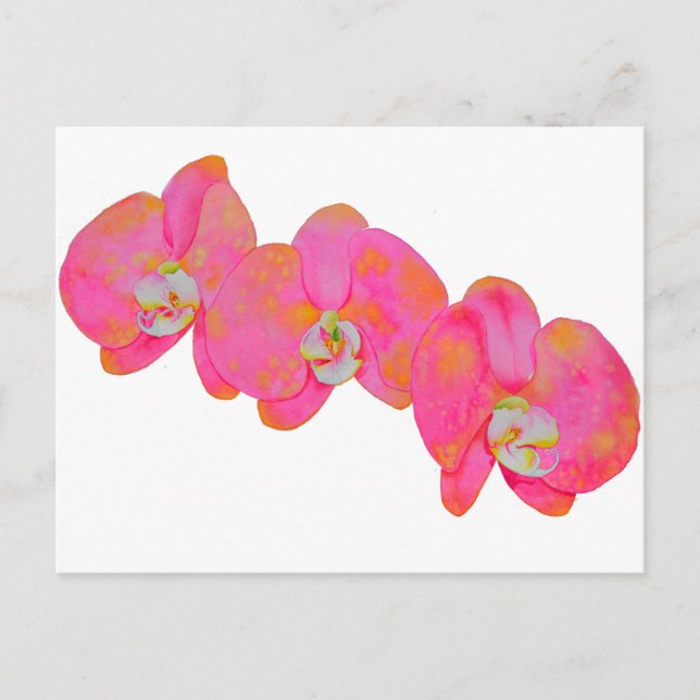 Pink watercolor Orchid painting Postcard (Front)