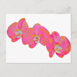 Pink watercolor Orchid painting Postcard