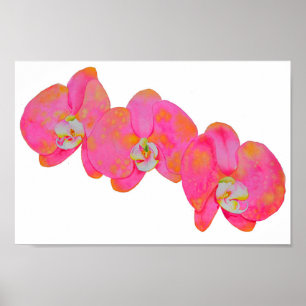 Pink watercolor Orchid painting Poster