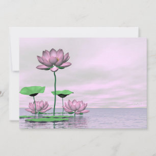 Pink waterlilies and lotus flowers - 3D render