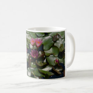 Pink Waterlilies Coffee Mug