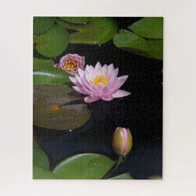 Pink Waterlilies Jigsaw Puzzle (Vertical)