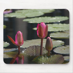 Pink Waterlilies Mouse Mat