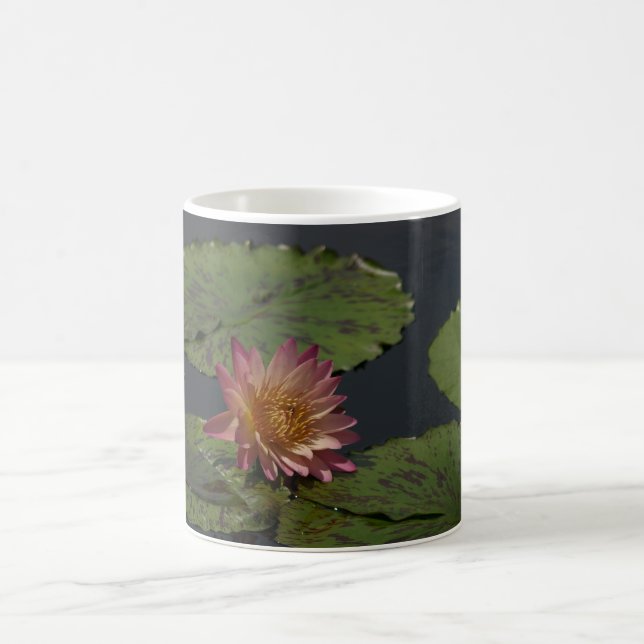 Pink Waterlily Coffee Mug (Center)