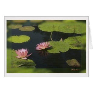 Pink waterlily - Customised