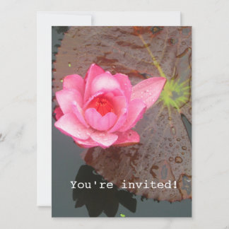pink waterlily flower blank invitation