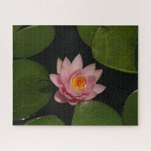 Pink Waterlily Jigsaw Puzzle